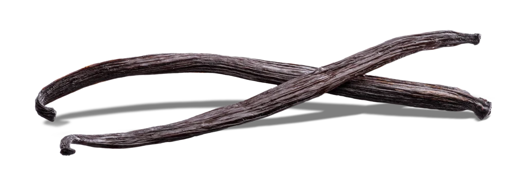 Vanilla Extract